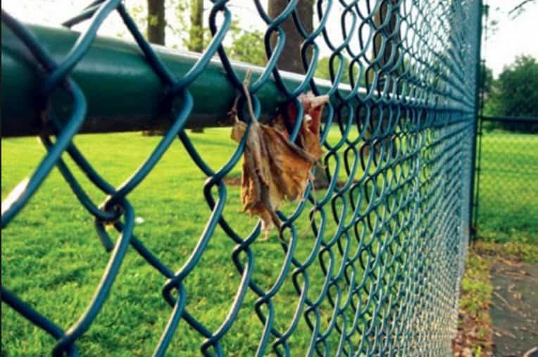 Bảng báo giá chi tiết thi công hàng rào lưới thép B40 cạnh tranh nhất